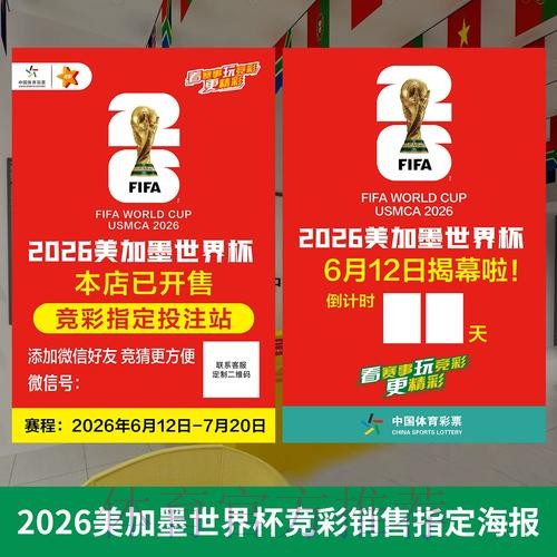 2026世界杯投注全攻略（免费版）