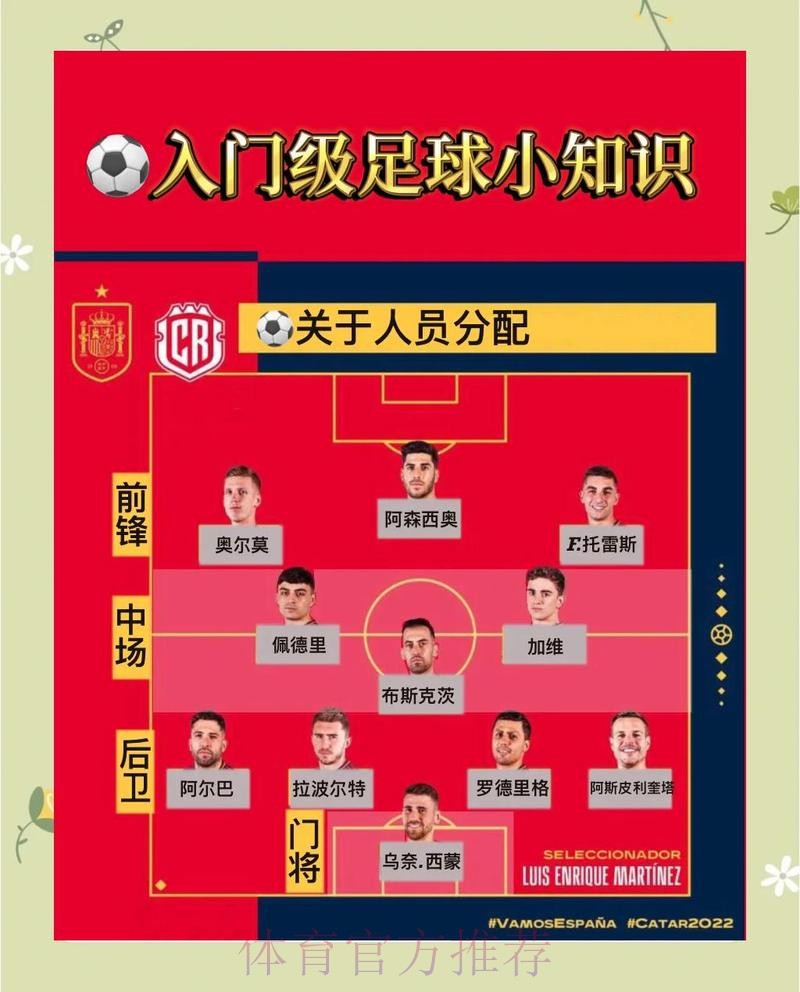 世界杯买球官方高清攻略全方位解读 世界杯买球官方高清攻略全方位解读